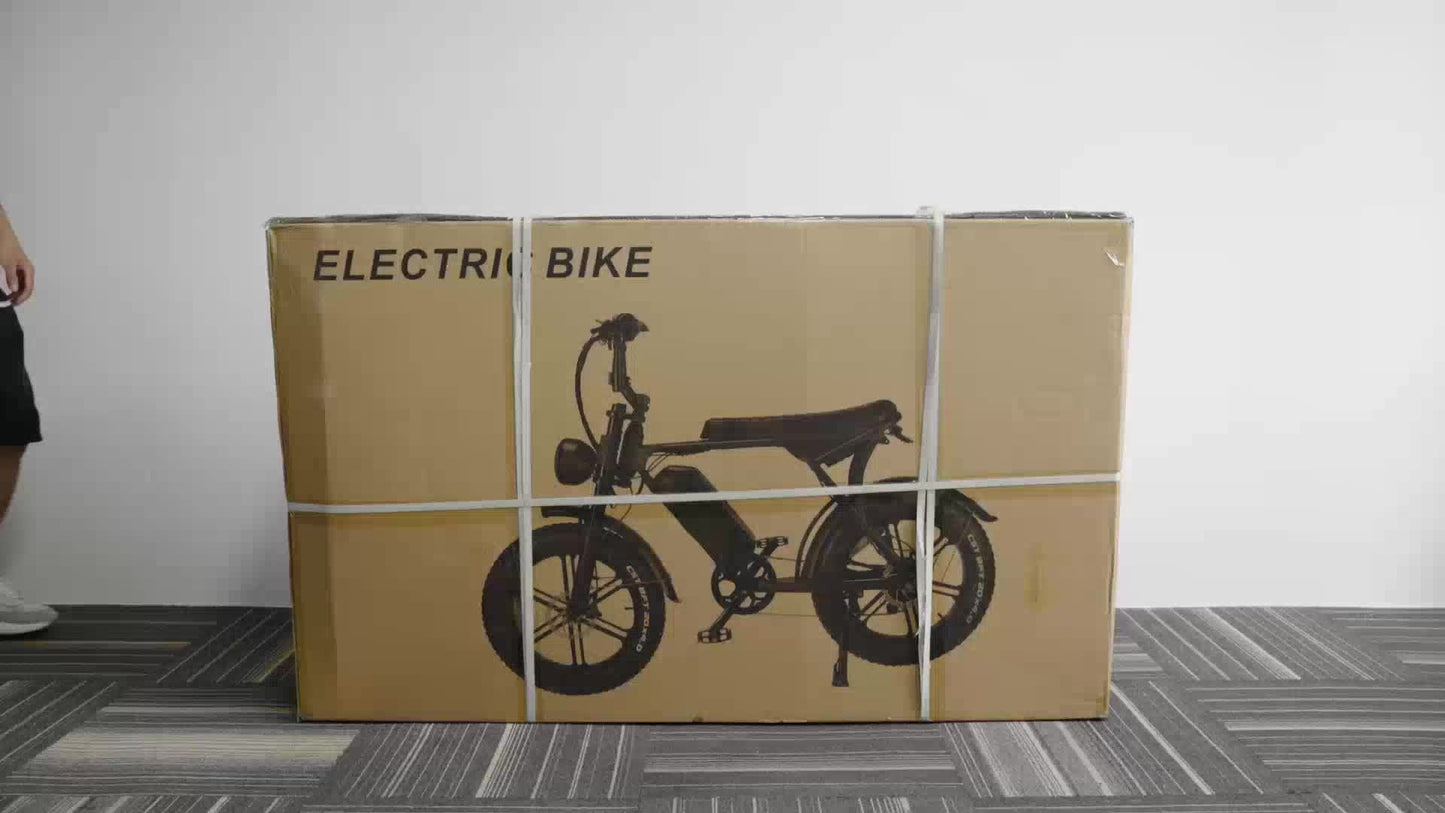 1 - Pedal /Electric Bike - Heavy - Duty All - Terrain 20" Tire Electric Mountain Bike with 740W Motor, 48V 15Ah Removable Battery, 7 - Speed Gear System, Front/Rear Disc Brakes, Global Voltage 100 - 240V, Global Plug Compatibility, All - Walmarkettt.com
