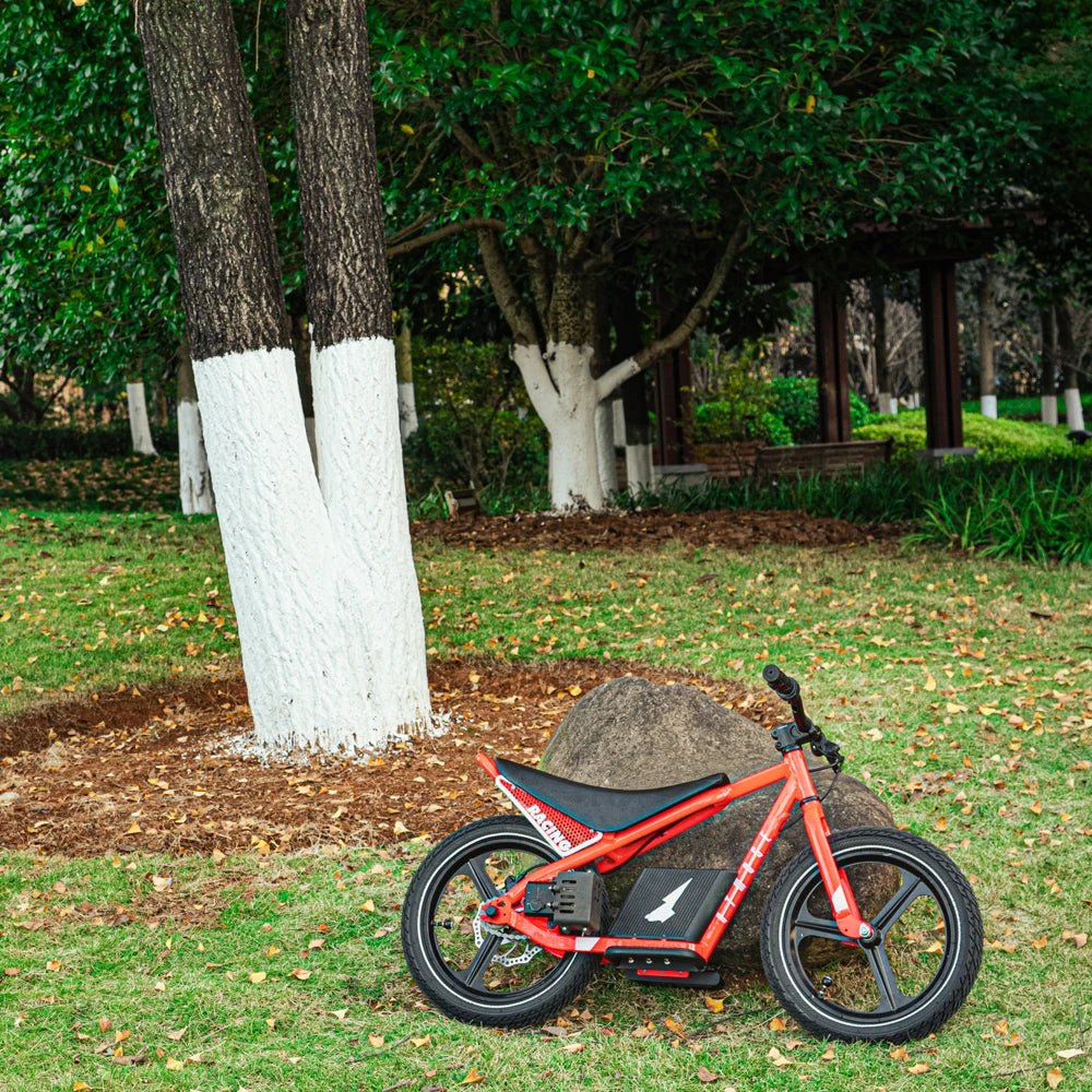Factory Wholesale Price Children's Single Speed Mountain Bicycle Bike Cycling for Kids 3 - 12ages - Walmarkettt.com