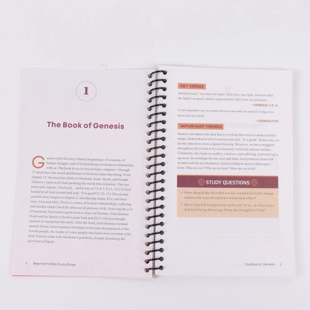 Bible Made Simple: Beginner'S Guide to All 66 Books with Themes, Lessons, and Spiritual Insights - Walmarkettt.com