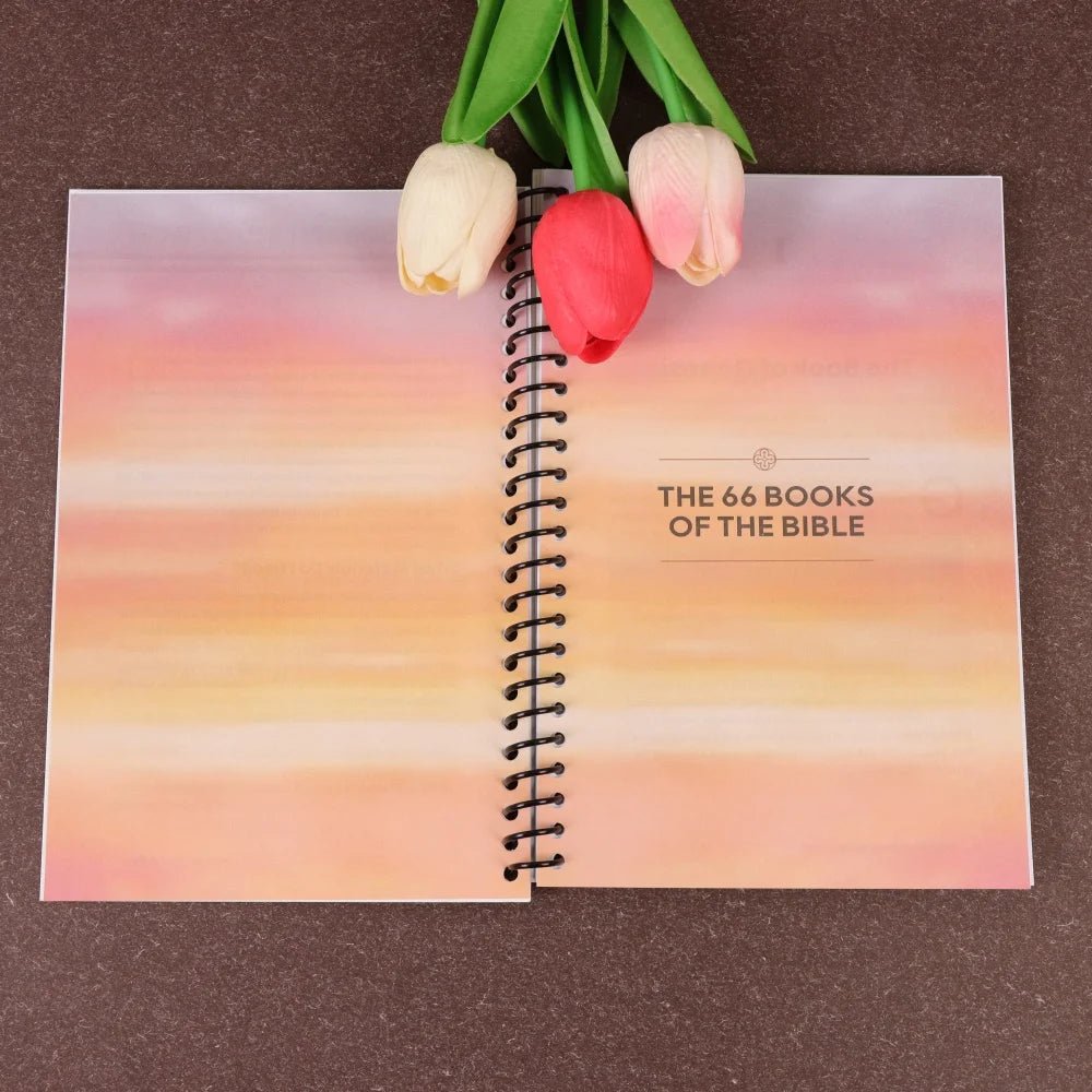 Bible Made Simple: Beginner'S Guide to All 66 Books with Themes, Lessons, and Spiritual Insights - Walmarkettt.com