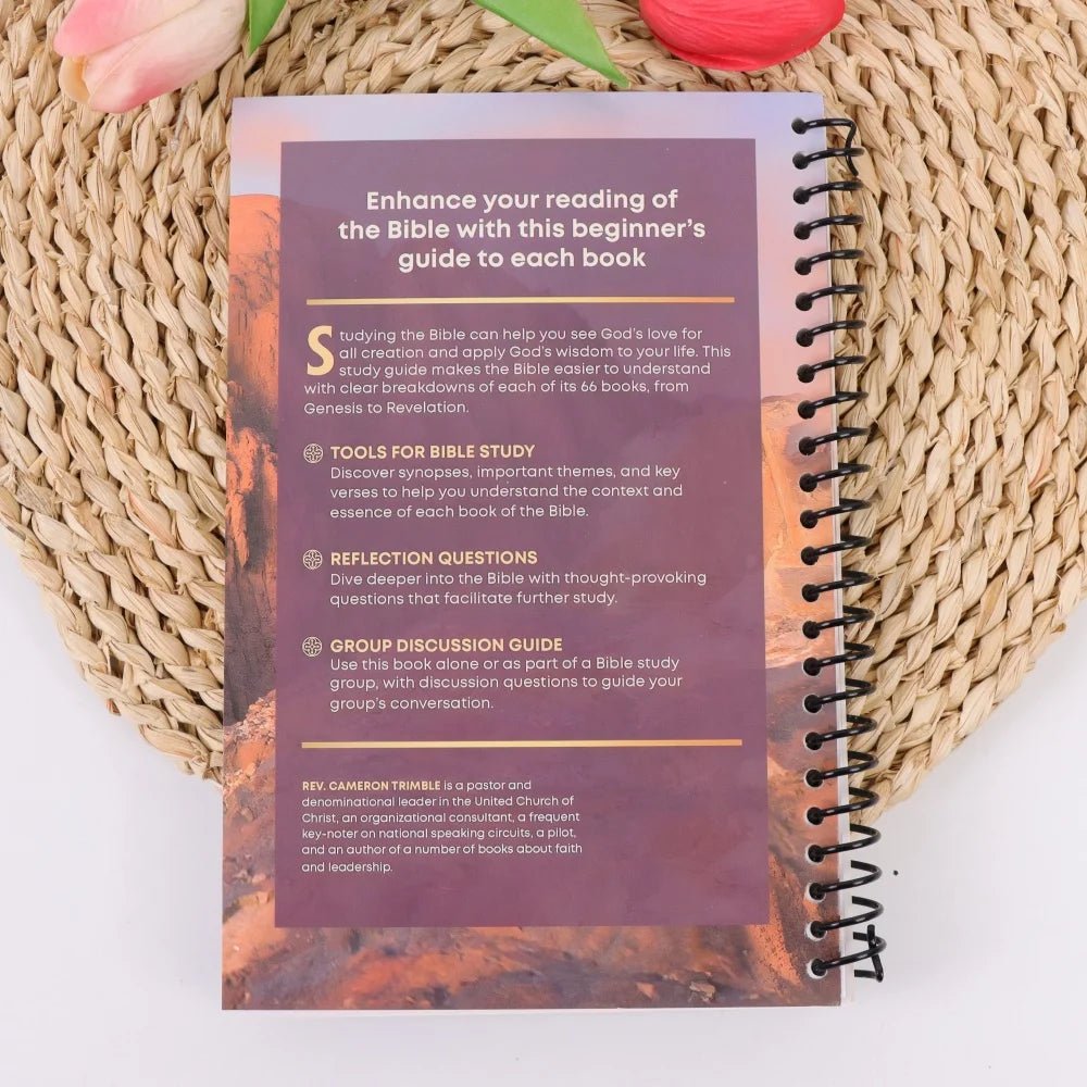 Bible Made Simple: Beginner'S Guide to All 66 Books with Themes, Lessons, and Spiritual Insights - Walmarkettt.com