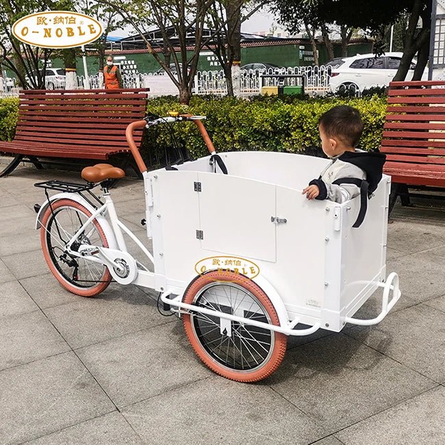 Bicycle With Cargo Box New Design Bike Electric Modern 3 Wheel Tricycle - Walmarkettt.com