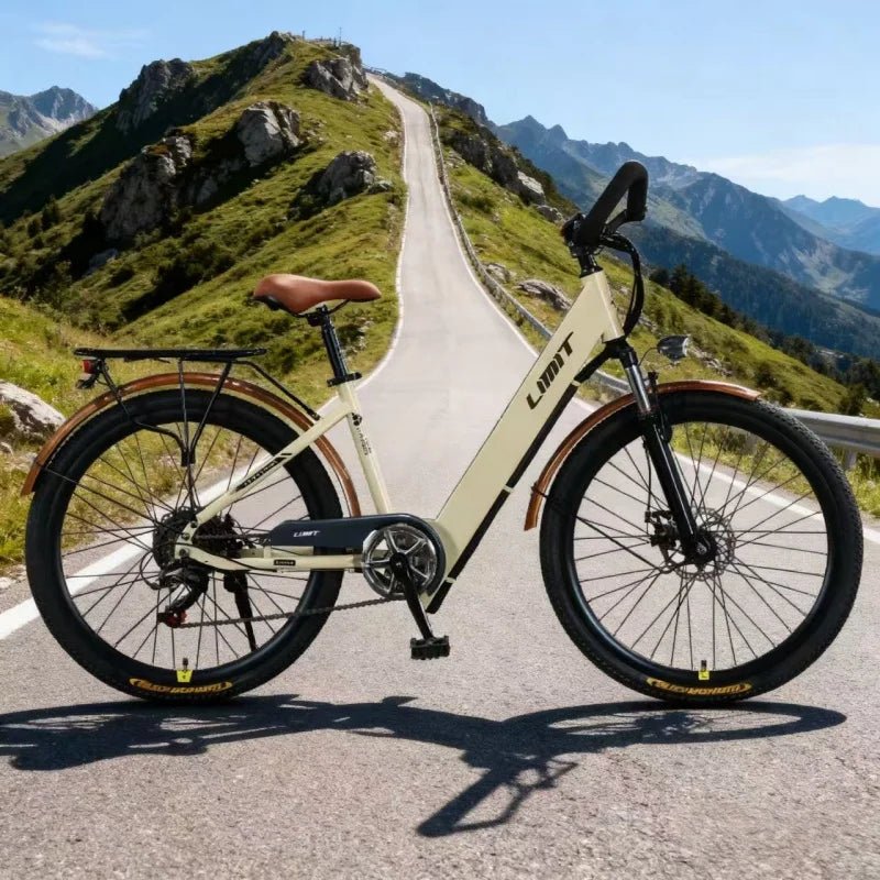 New fashionable E - bike, 26 - inch urban commuter electric bicycle for adults, 400W brushless motor, 48V20AH battery electric moped - Walmarkettt.com