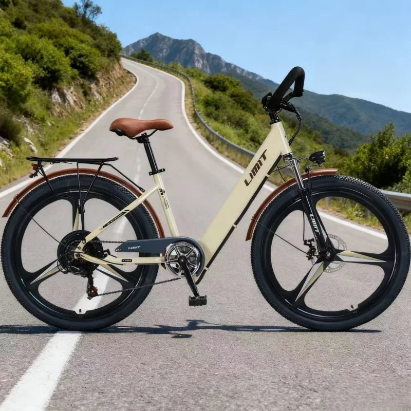 New fashionable E - bike, 26 - inch urban commuter electric bicycle for adults, 400W brushless motor, 48V20AH battery electric moped - Walmarkettt.com